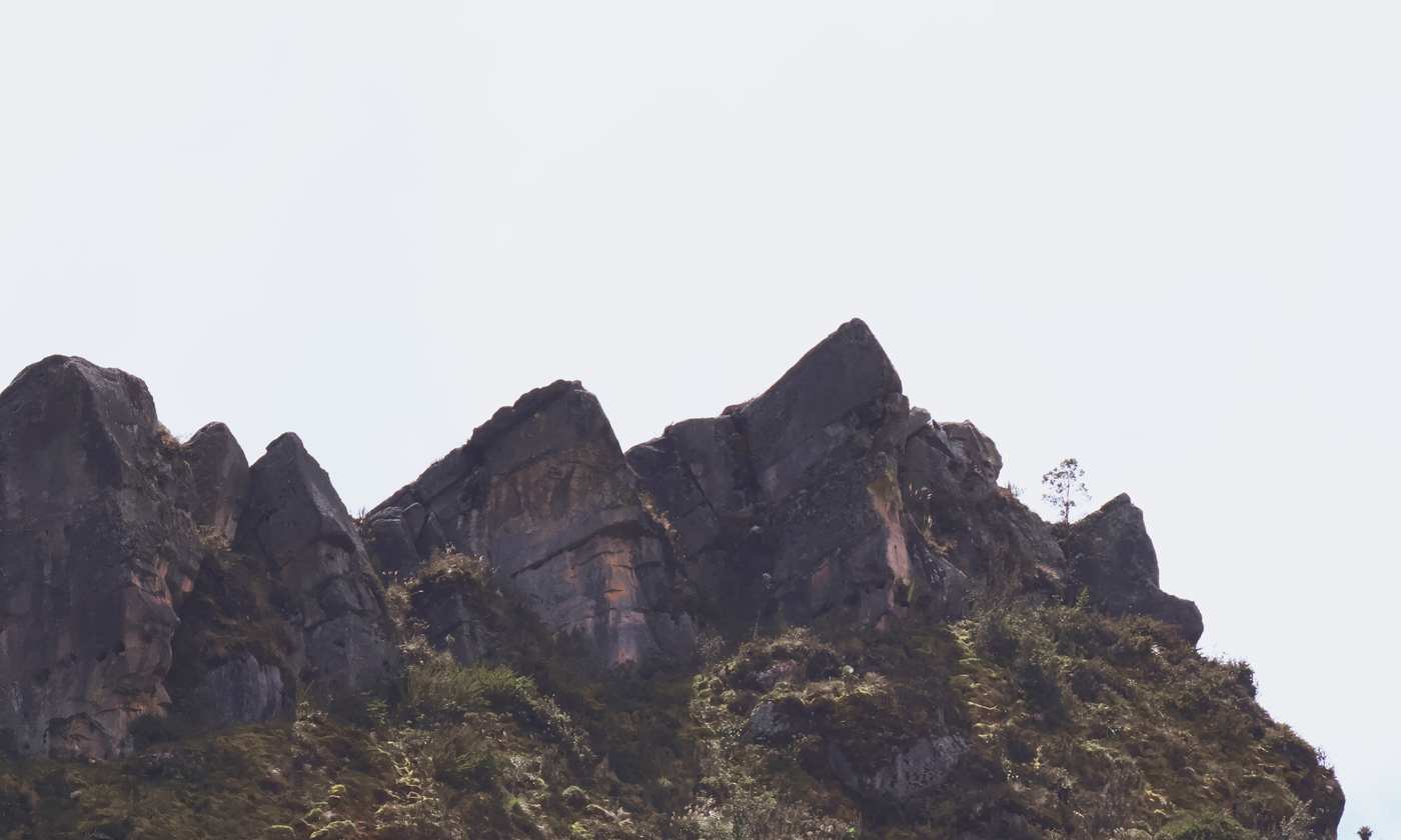 Cresta rocosa del páramo con vegetación de alta montaña