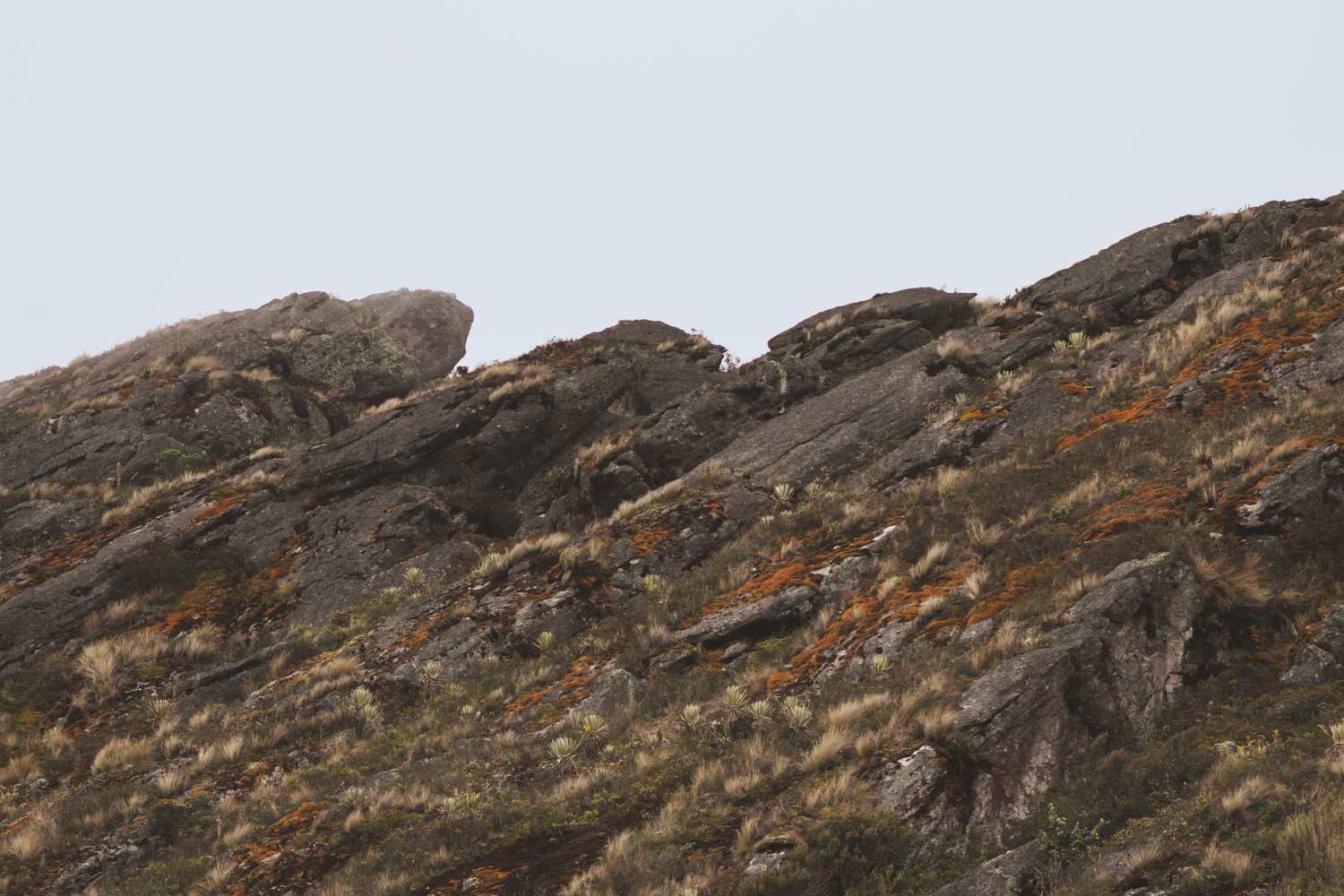 Roca de páramo cubierta de líquenes entre la niebla
